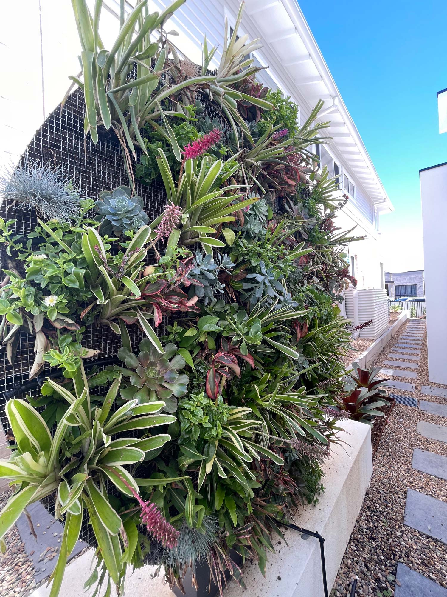 Landscape Design - Progress